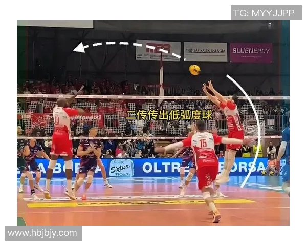 从零起步掌握排球战术全解析助你成为排球高手的必备指南