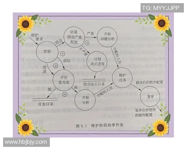 深度分析上海足球队的运营策略与发展模式探讨