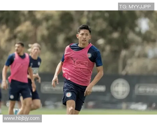 王楚获得法甲最佳球员相关报道与真实性追溯